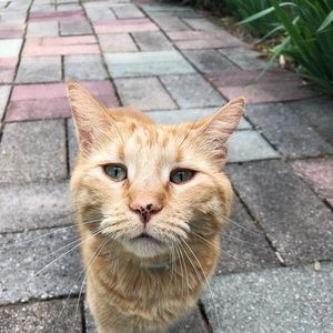 Meet your Posher, Kristi